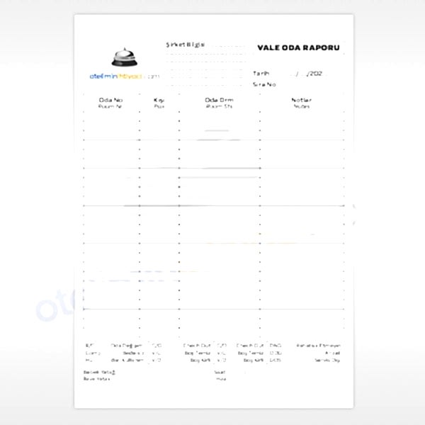 Vale Oda Raporu